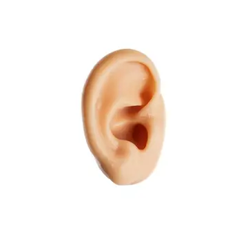 Силиконовая Модель уха Дисплей Искусственного Уха Человека Правое и Левое Ухо для Тестирования, Обучения, Практических Инструментов, Дисплей Ушной Шпильки